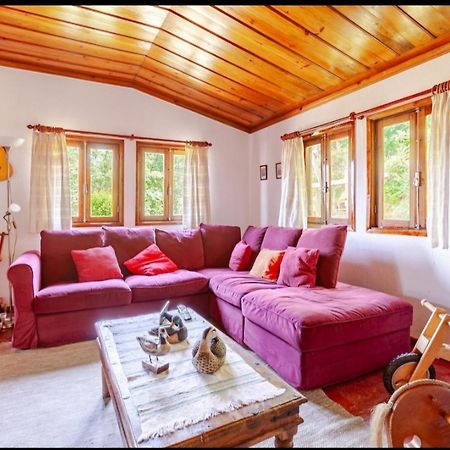 Casa Soutinho - Geres Villa Ventosa  Eksteriør bilde